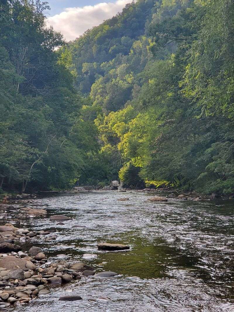 Little River Road: A Ribbon Beside The Water