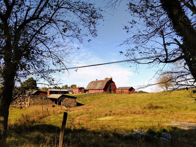 Planning A Day That Fits Waterford’s Pace