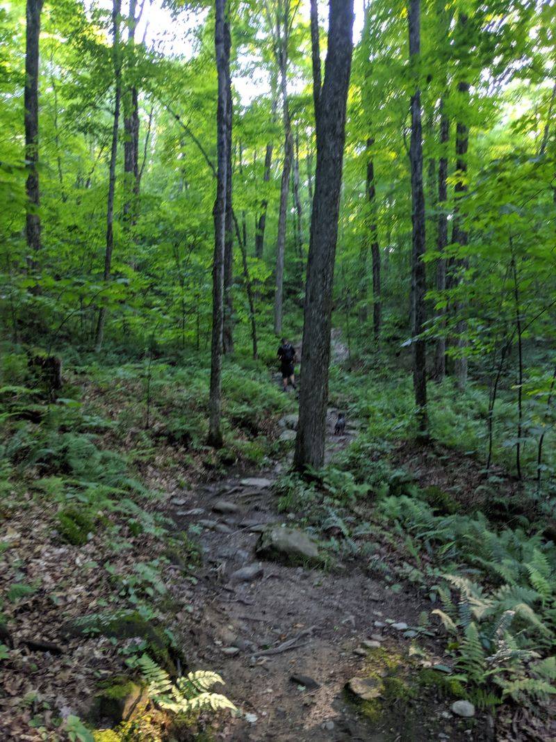 Wildlife Disturbance Increases With Tourist Presence