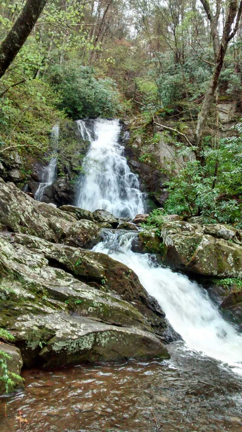 A Community That Values Nature Over Noise