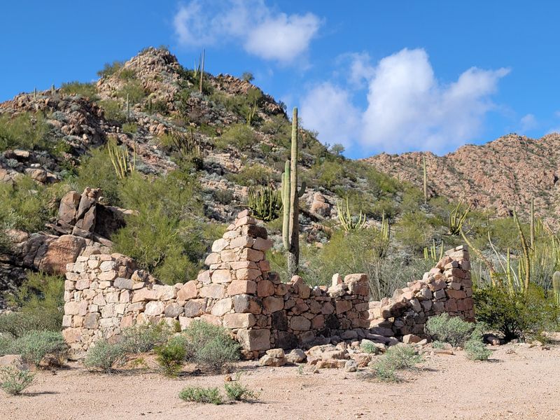 Organ Pipe Cactus Border Desert Drive