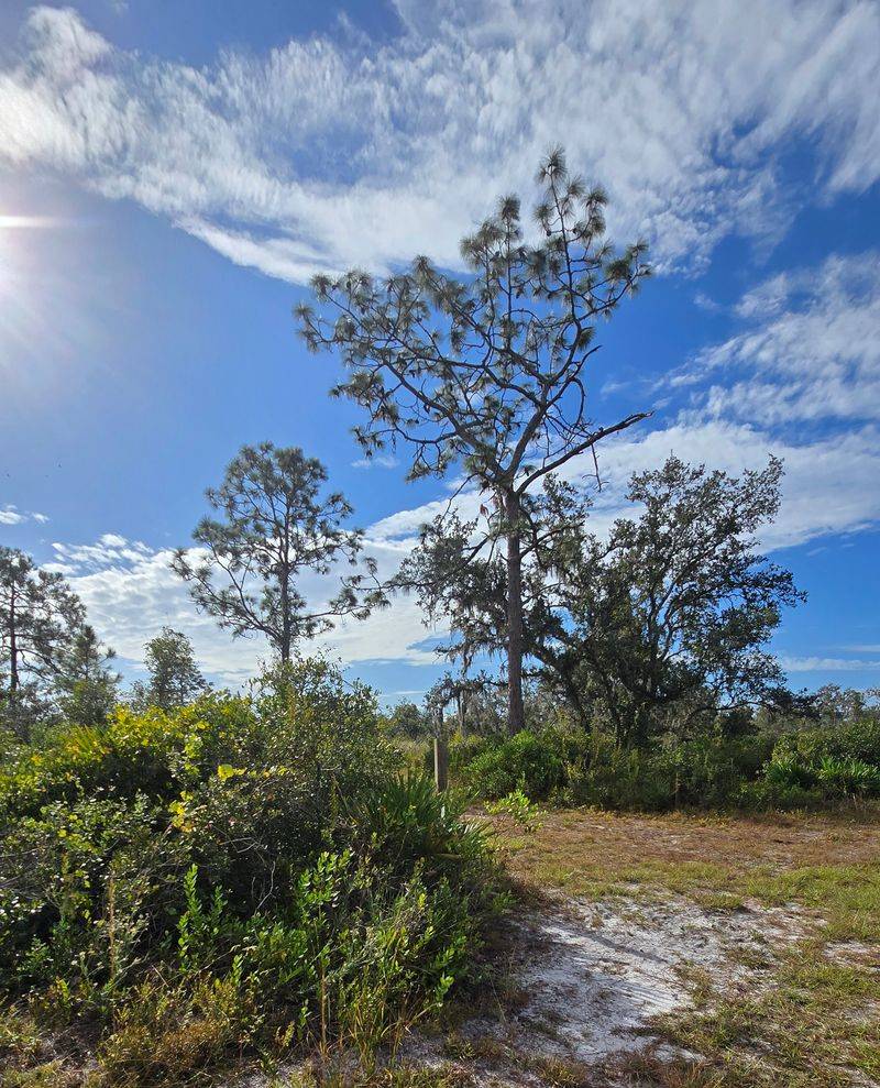 Old Miakka Preserve (Sarasota County)