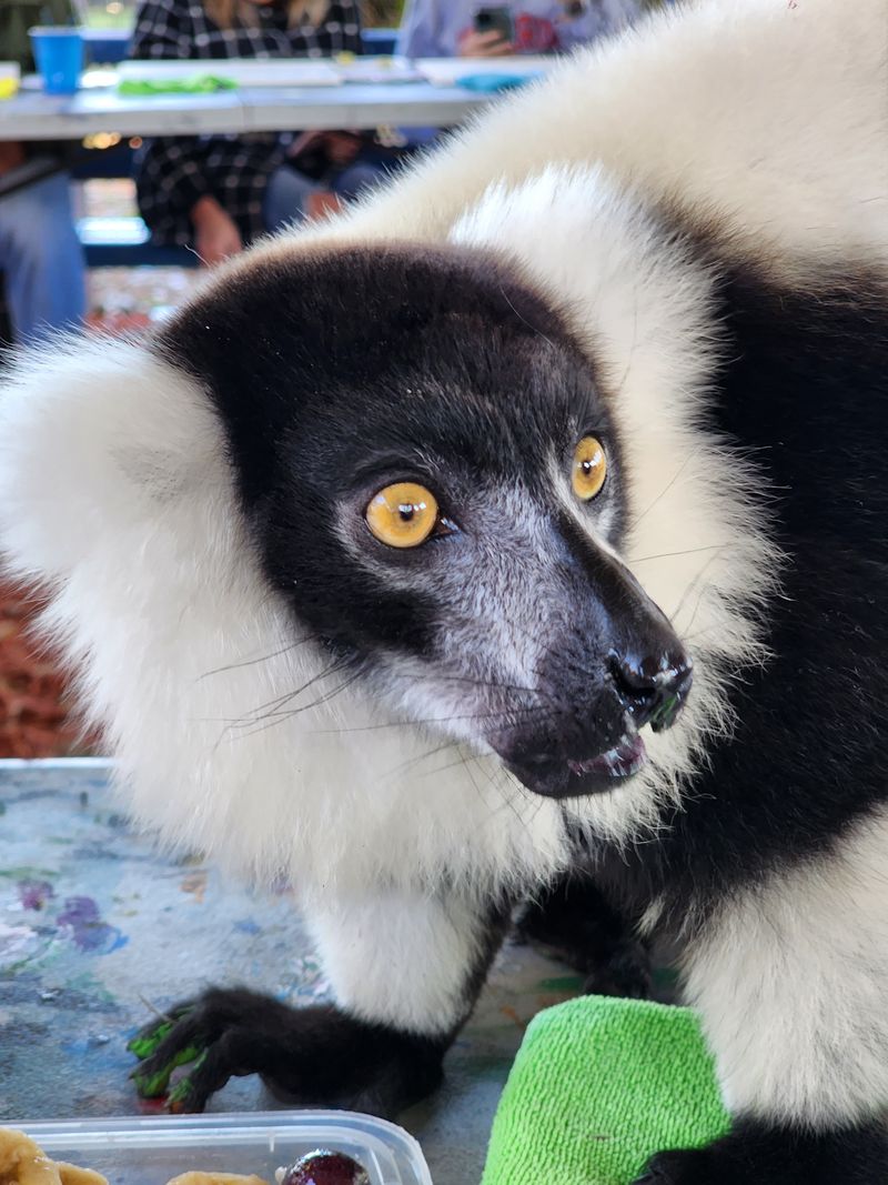 Meeting Exotic Animals Happens On Their Terms