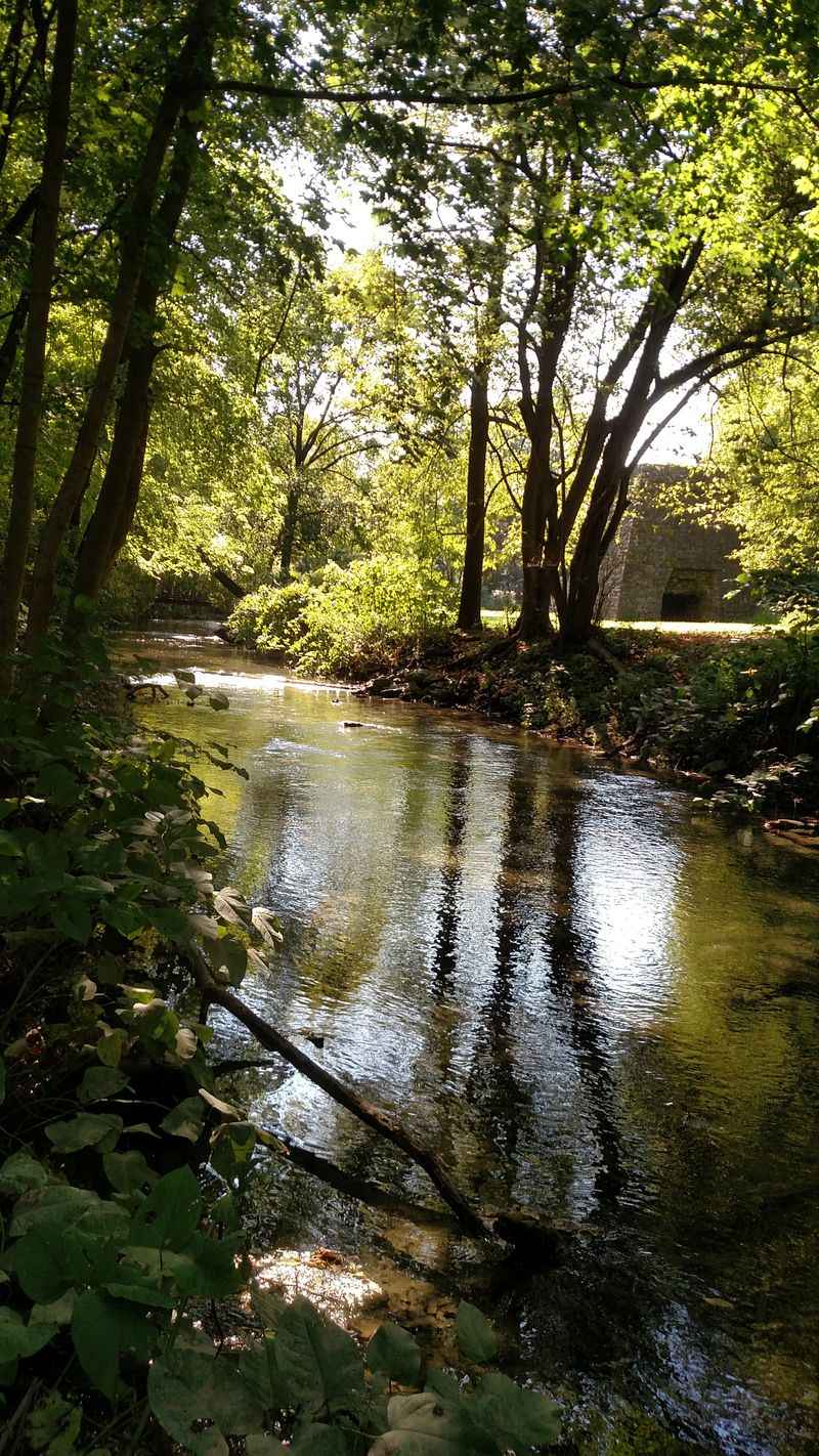 Place Where Nature Wraps Itself Around Everyday Life