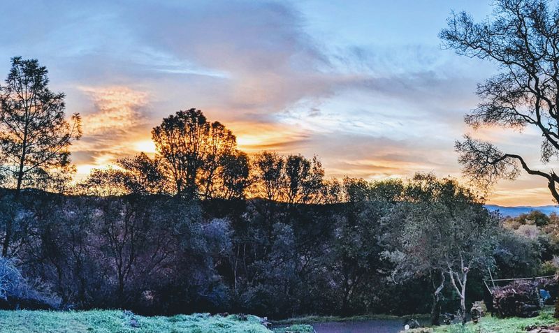 Yosemite Is Close Enough For Day Trips, Not Daily Traffic