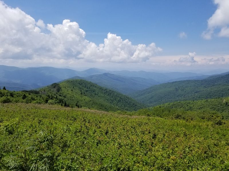 Tennent Mountain Loop (Pisgah National Forest)