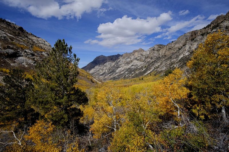 Lamoille Canyon Scenic Byway