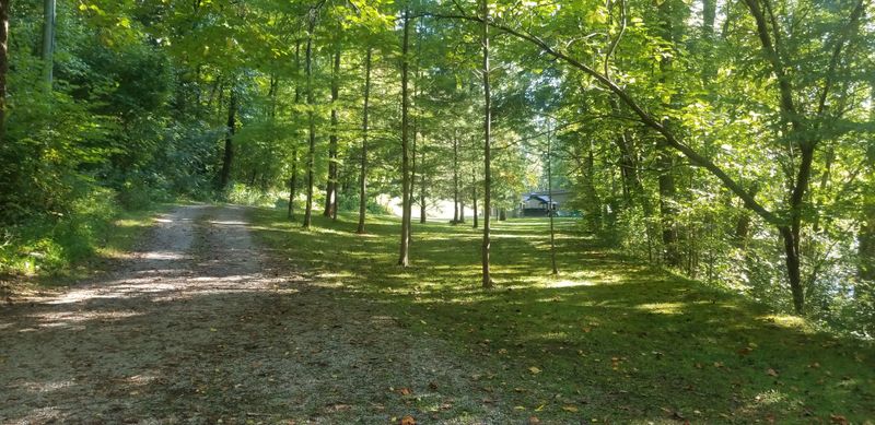 A Haven For Wildlife Watching Without The Chaos