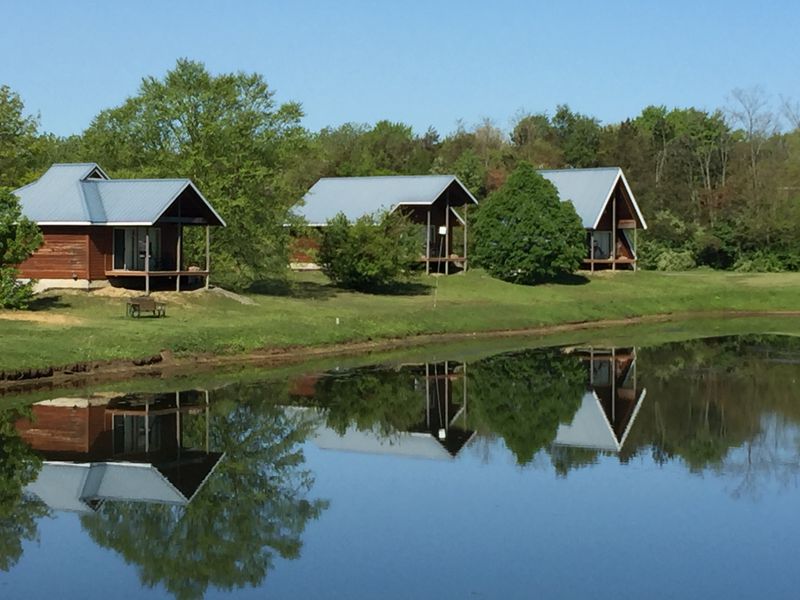 Cabin Comforts: What Makes Each Retreat Feel Like Home