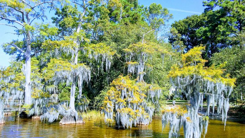 The Wildlife Here Isn't Just 