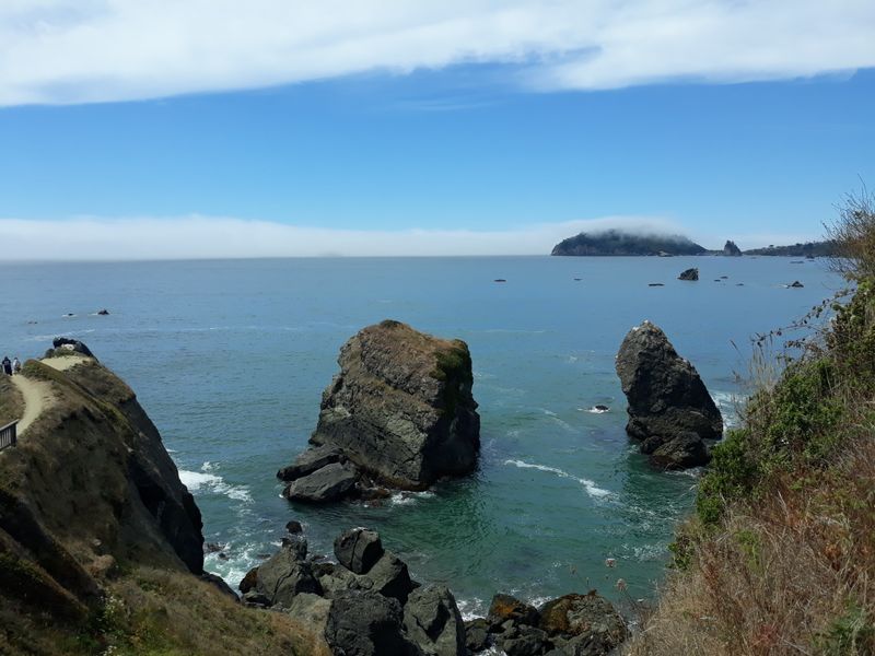 The Bluff-Top Trail At Trinidad Head Locals Don’t Want Crowds Finding