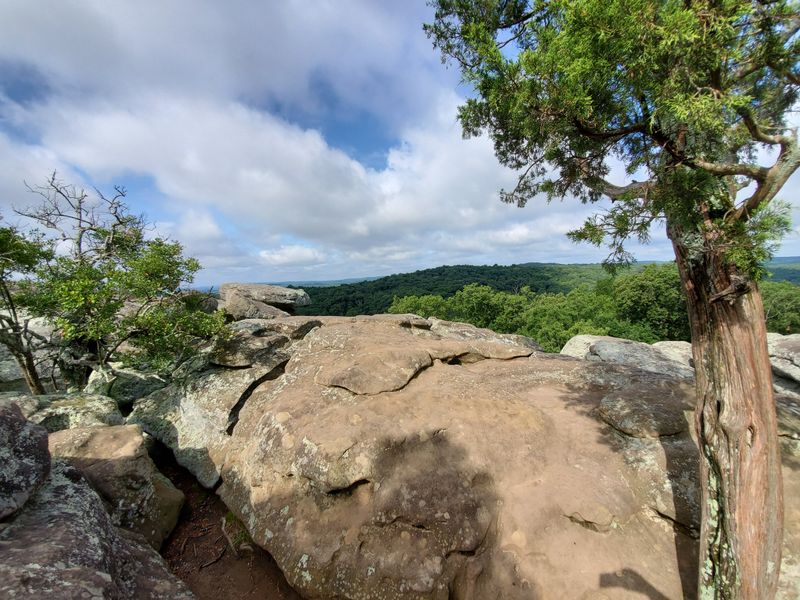 A Past Written In Brick, Iron, And Everyday Resolve