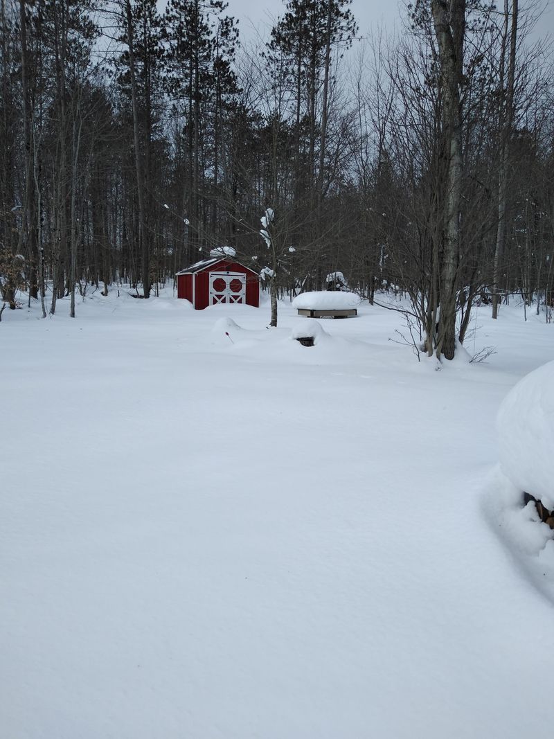 Lake-Effect Storms That Arrive Like Walls Of White