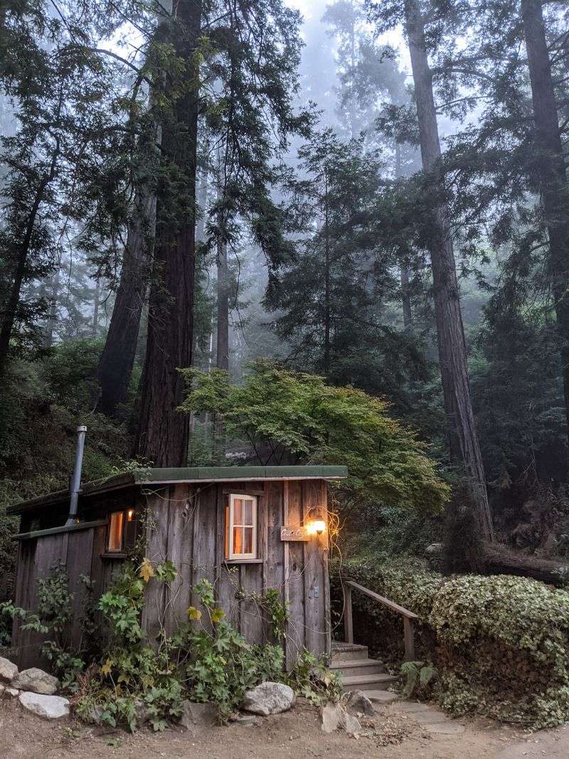 Rustic Cabins Tucked Into Redwoods: A Stay Wrapped In Nature