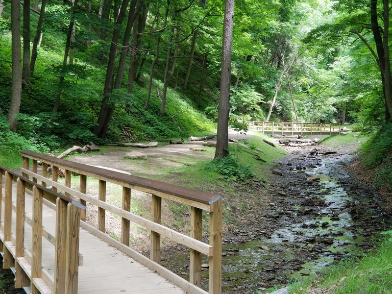 How Community Efforts Preserve The Park’s Quiet Magic