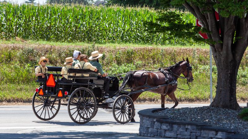 Tiny Village, Big Exhale: Why Bird-in-Hand Feels Instantly Calmer
