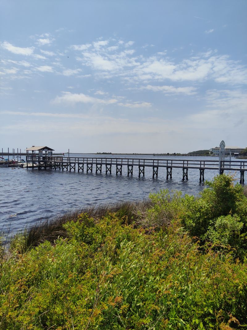 Tides Decide The Day