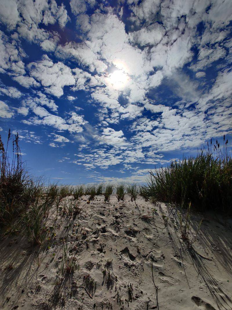 Dunes That Muffle The World