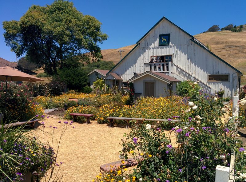 A Coastal California Town That Still Feels Untouched By Mass Tourism