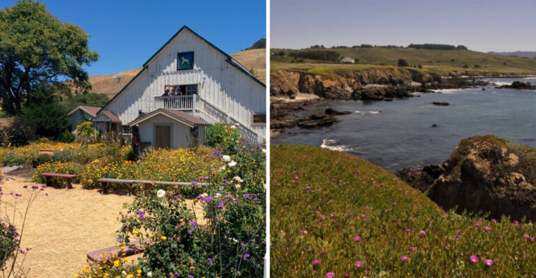 Why No One Talks About This Quiet Coastal California Town