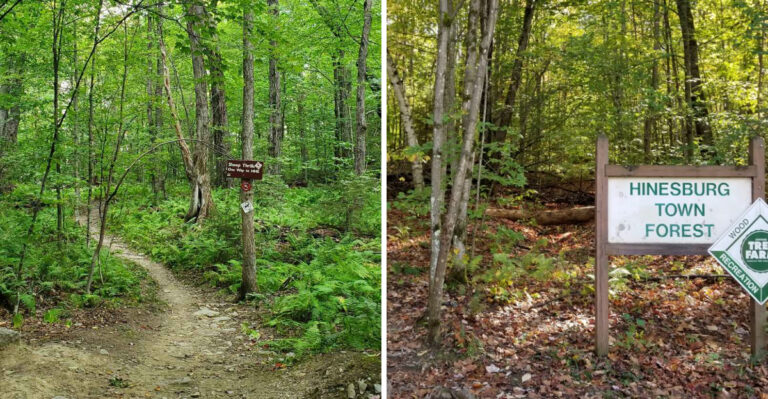 Why Residents In Vermont’s Small Forest Hamlet Won’t Tell Tourists About Their Trails