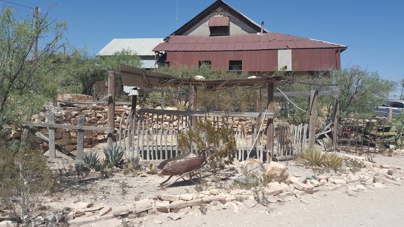 A Desert Artist's Paradise: How Terlingua Inspires Creativity
