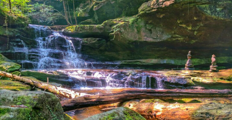 Why This Alabama Forest Is A Local’s Favorite For A Peaceful Weekend