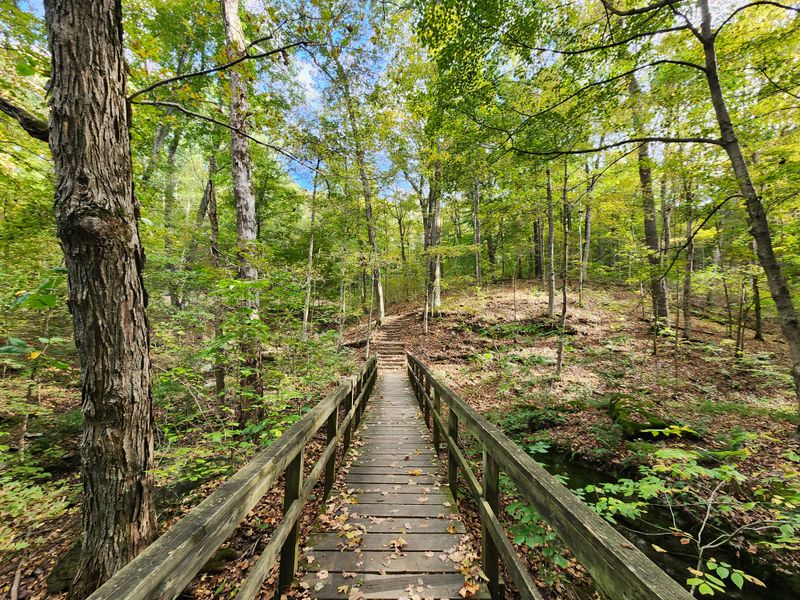 A Main Street That Moves At The Pace Of Footsteps