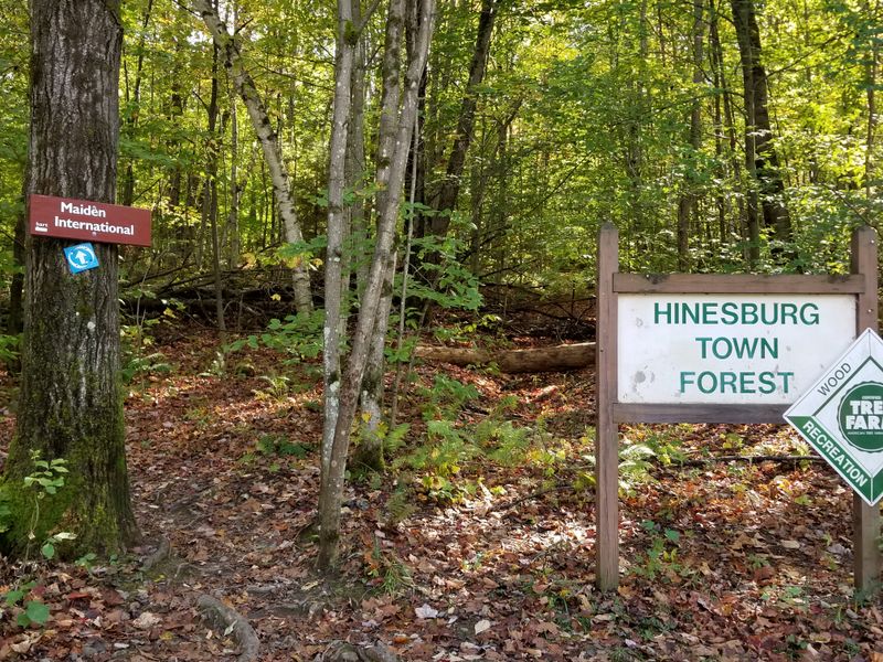 Parking Infrastructure Cannot Handle Large Visitor Numbers