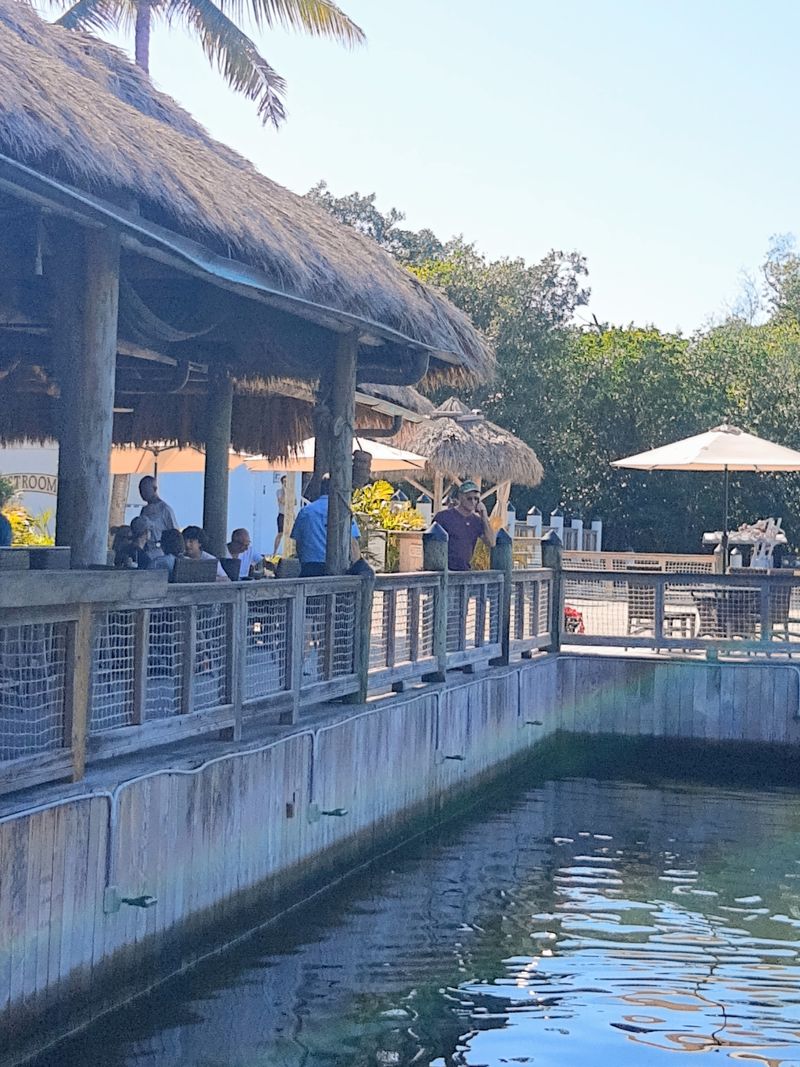 A Small Museum With A Big Breath