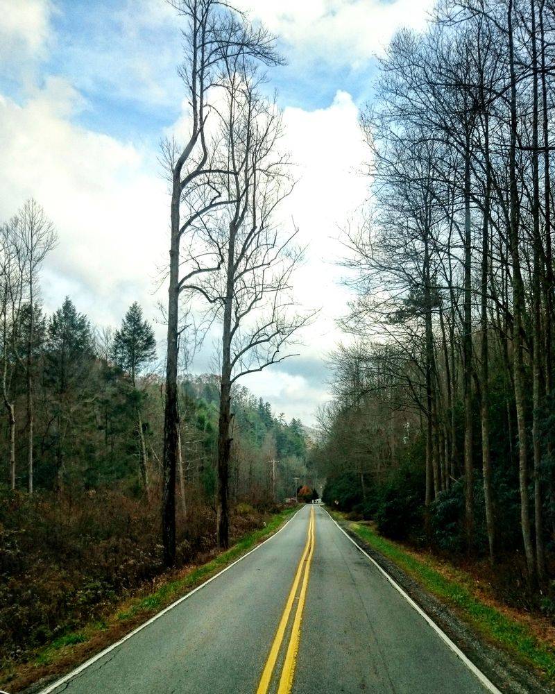 The 'Quiet Town' Secret: It's Close To Asheville, But It Doesn't Feel Like Asheville