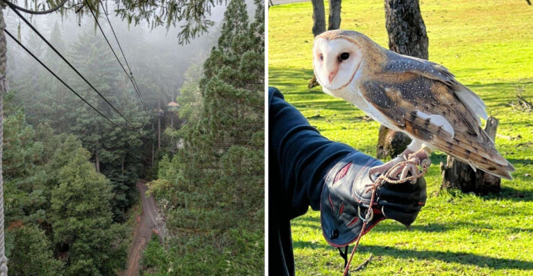 10 Unique Outdoor Adventures In Northern California You Need To Try