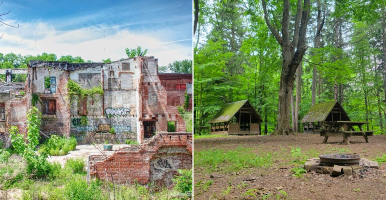 12 Abandoned New York Areas Being Slowly Taken Back By Nature