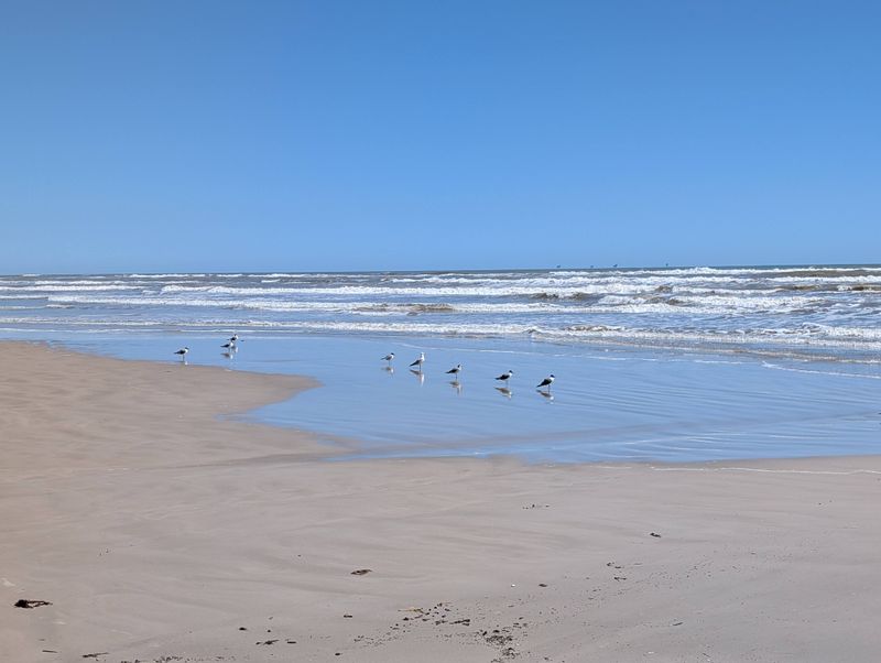 Padre Island National Seashore