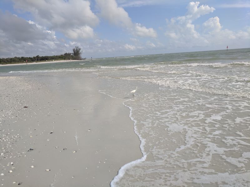 Barefoot Beach Preserve