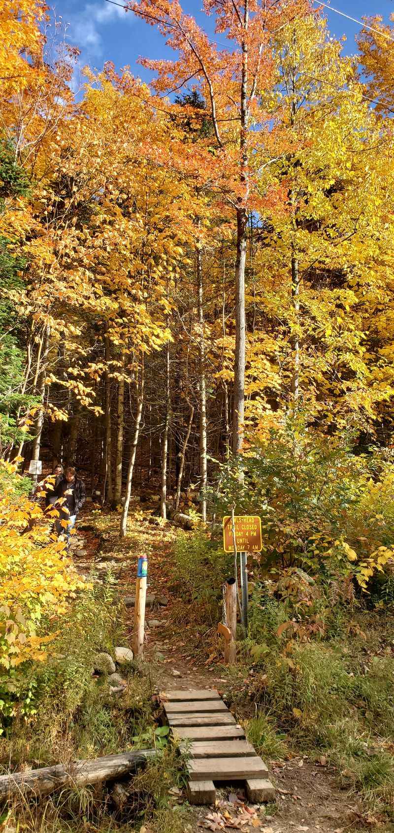 Owl's Head Mountain Trail — Keene Valley