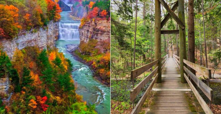 13 Forgotten Hiking Trails In New York That Tourists Overlook