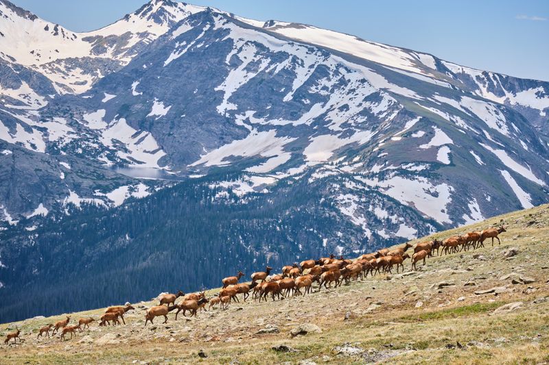 Trail Ridge Road Scenic Byway