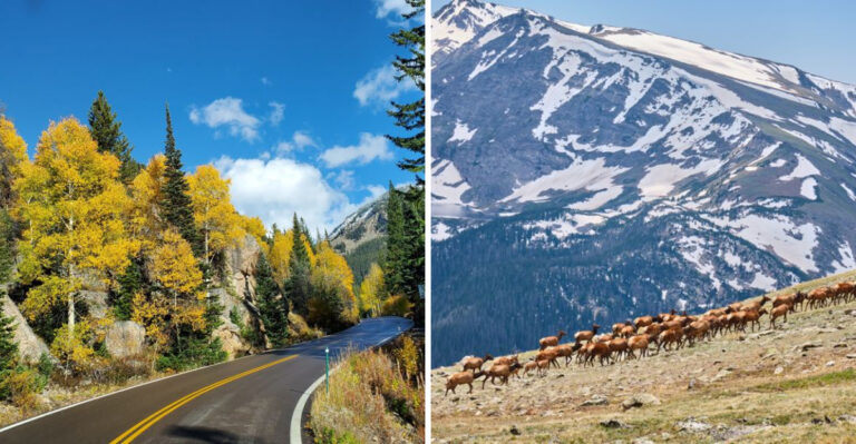 13 Scenic Colorado Drives That Belong On Your Road Trip Bucket List