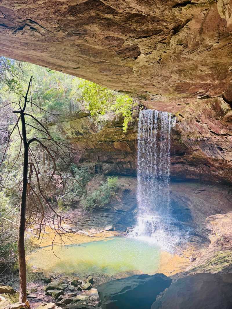 Northrup Falls Trail