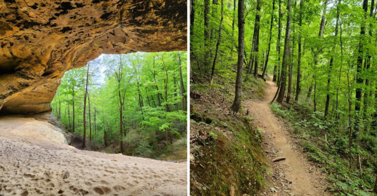 14 Forgotten Hiking Trails In Tennessee That Tourists Overlook