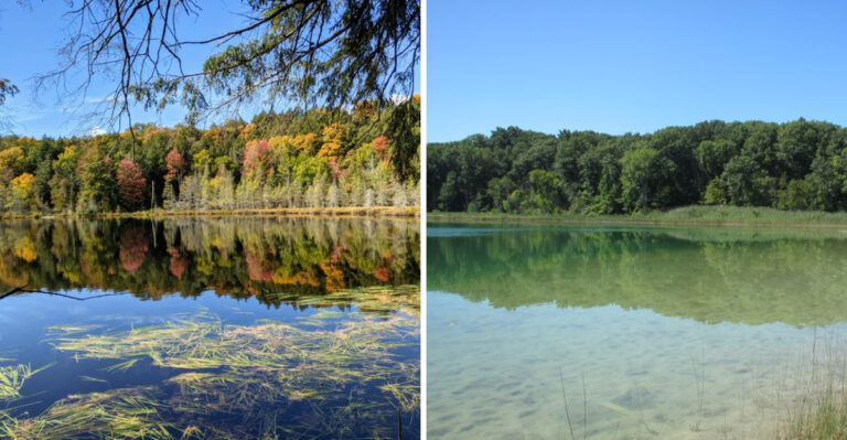 15 Secret Michigan Lakes Hikers Swear Are Worth Every Step