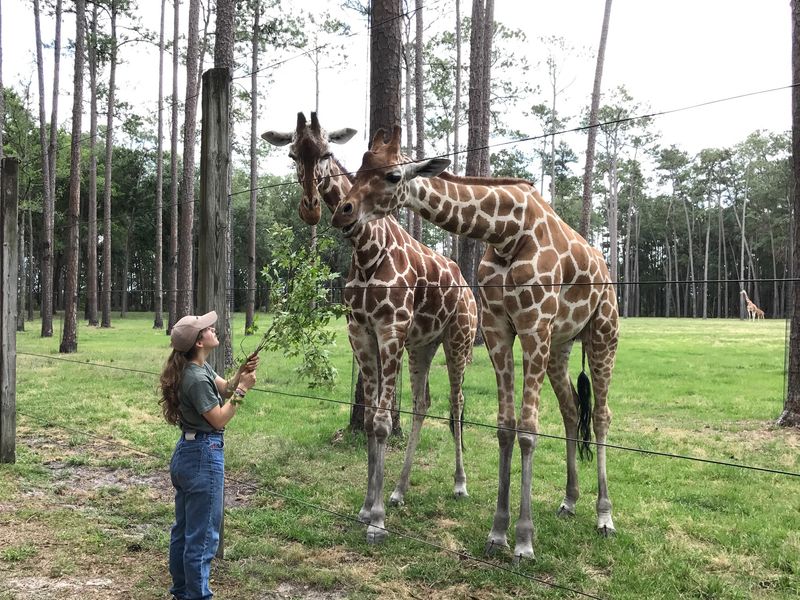 Why This Florida Sanctuary Stays Out Of The Spotlight