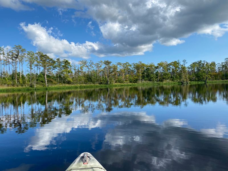 Alligator River National Wildlife Refuge Paddling Trails