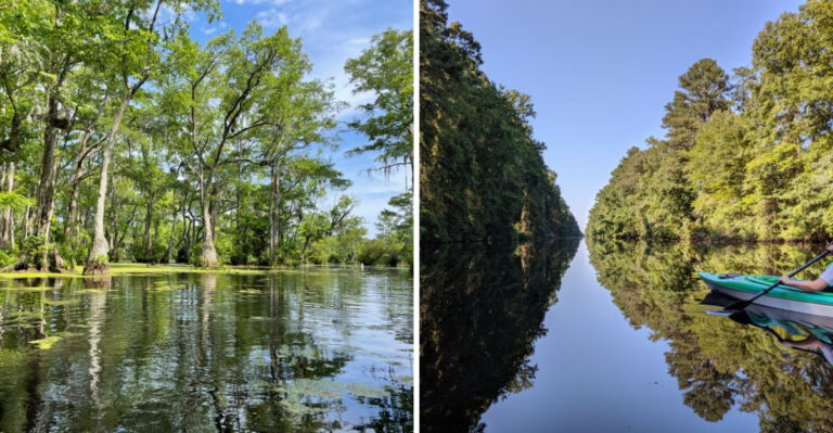 9 North Carolina Hidden Waterways Kayakers Say Feel Like A Private Escape