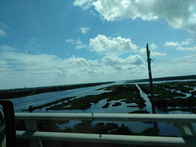 Maritime Forests That Survived Development