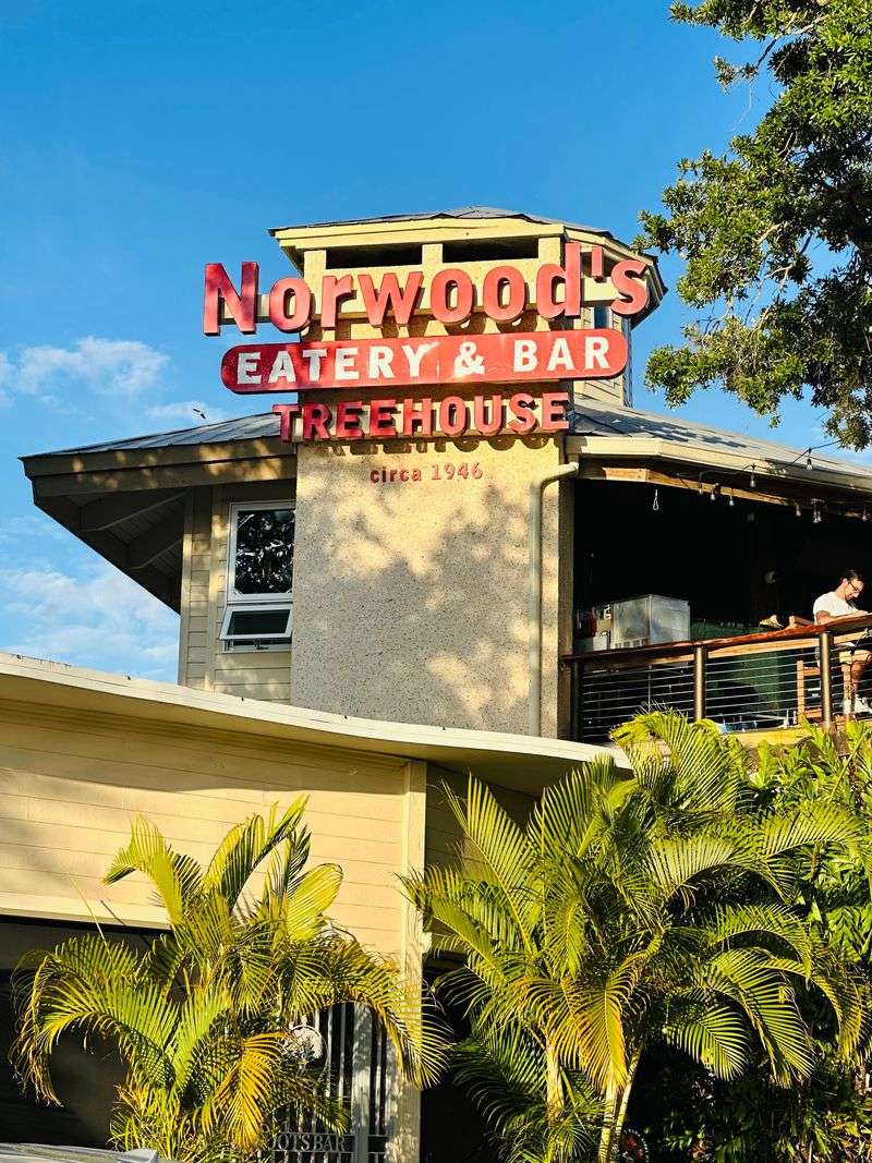 Locals Say The Treehouse Is The Best Seat