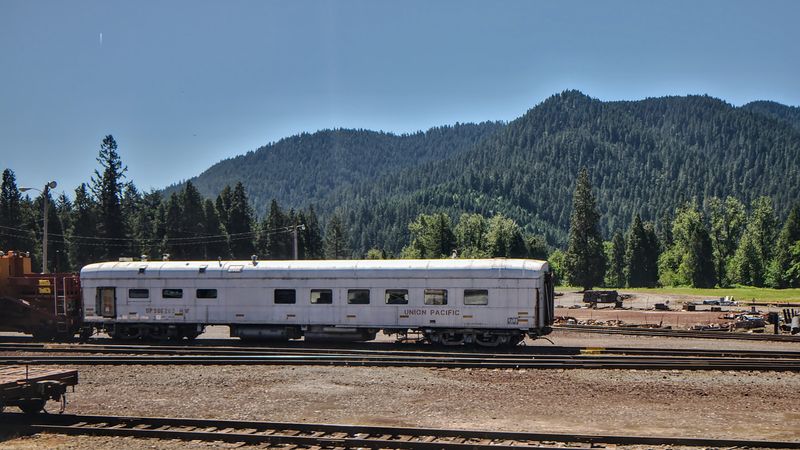 Fog Turns Ordinary Places Into Cinematic Scenes