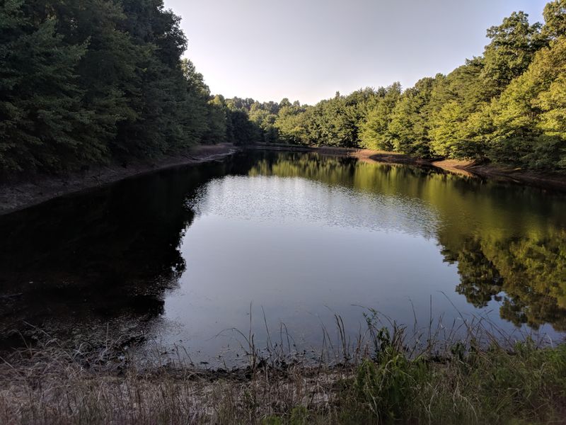 Quiet Evenings Under Plateau Skies