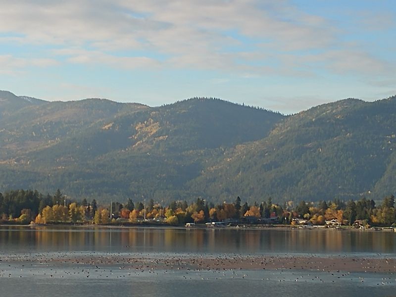 How Nature Replaces Noise In Everyday Living